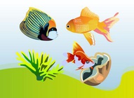 Angel Fish Graphics