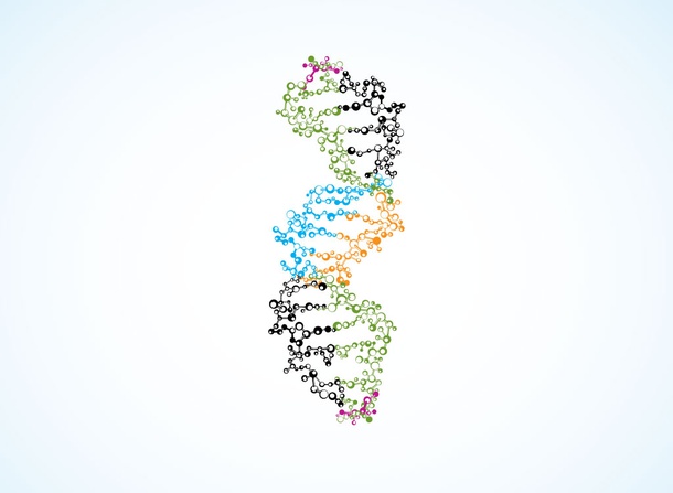 DNA Strands