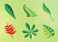 Leaf Vector Pack