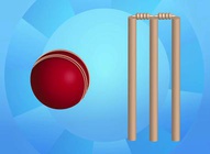 Cricket Gear Vector