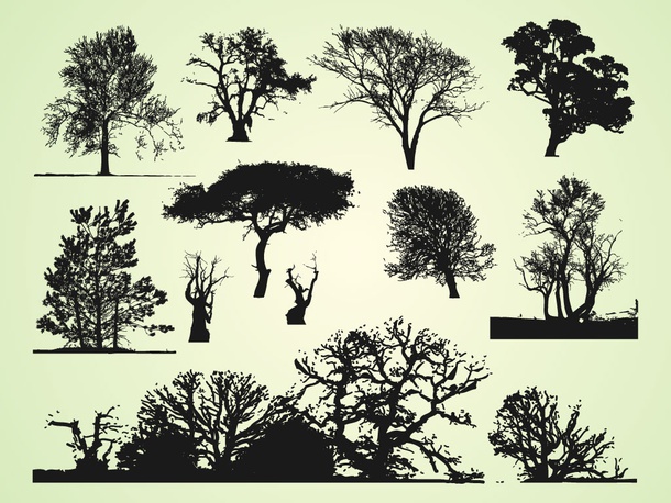 Trees Graphics Bundle