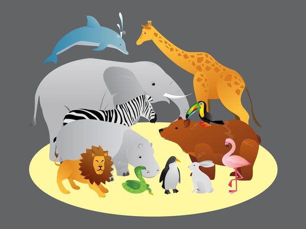 Zoo Illustration