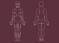 Human Body Vectors