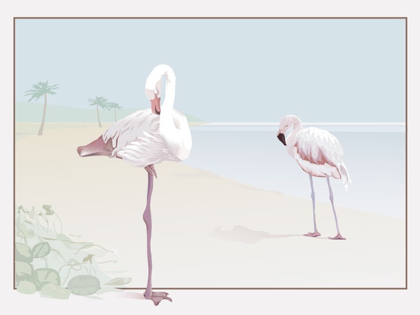 Flamingo Beach Vector