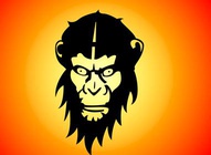 Mad Monkey Illustration