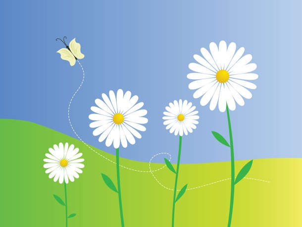 Daisy Flowers Vector