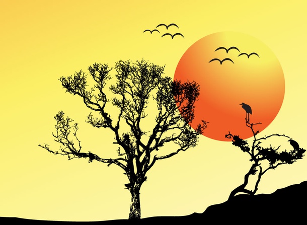 Sunset Vector Image