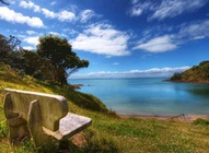 Bench On The Shore