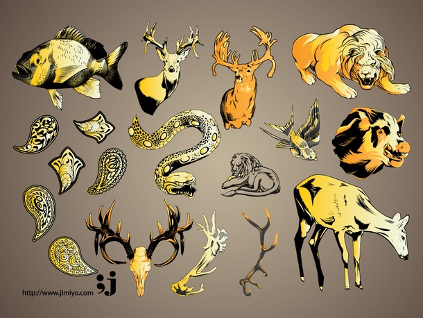 Wildlife Illustrations