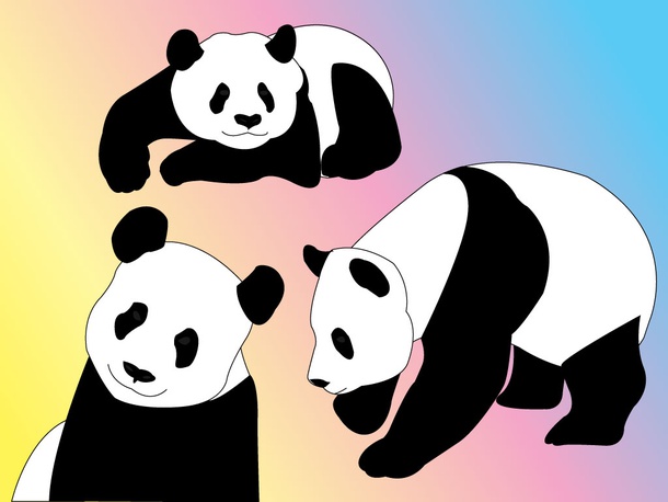 Panda Vector Pack