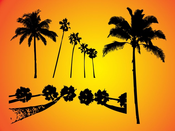 Palm Trees Silhouettes