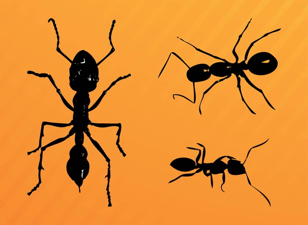 Ants Vector