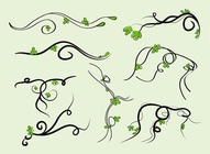 Swirling Vines