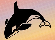 Orca Silhouette