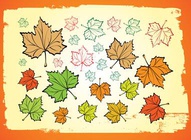 Autumn Leaves Vectors