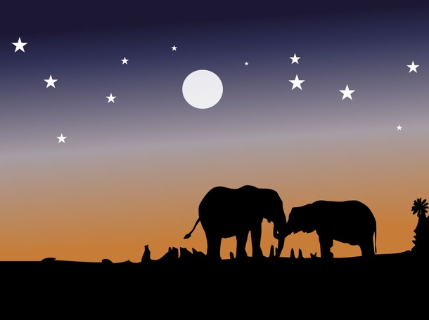 Elephants Vector