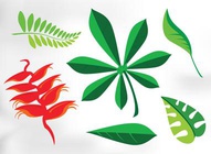 Stylish Leaf Graphics