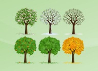 Seasons Vector Trees