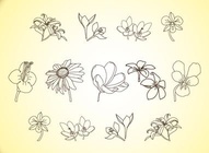 Vector Flower Line Illustrations