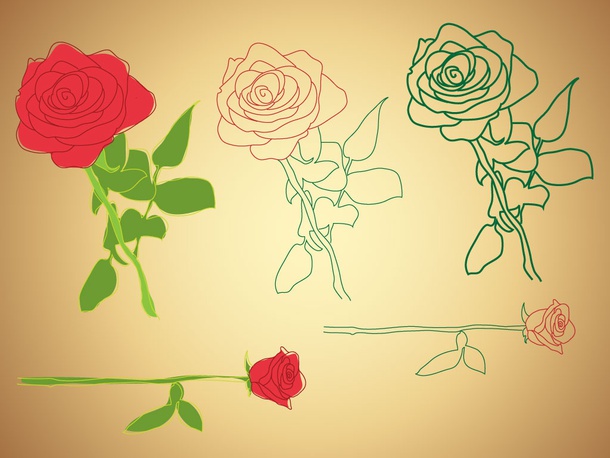 Roses Illustrations