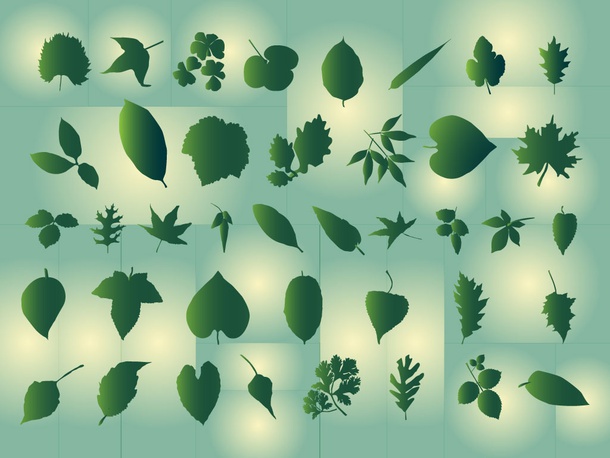 Leaves Graphics