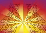 Cheetah Design