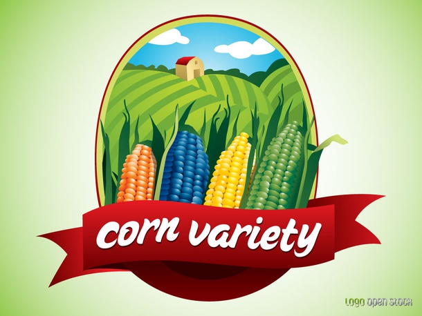 Corn Icon