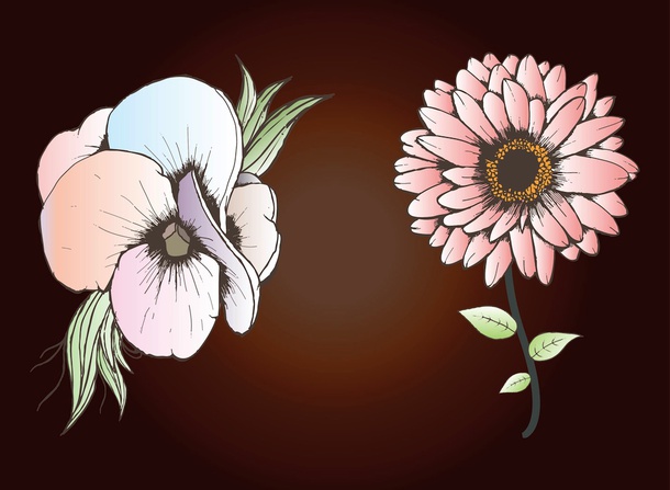 Flowers Drawings