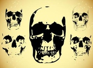Skull Vector Pack