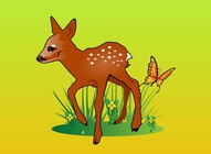 Deer Illustration