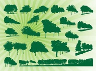 Tree Clip Art