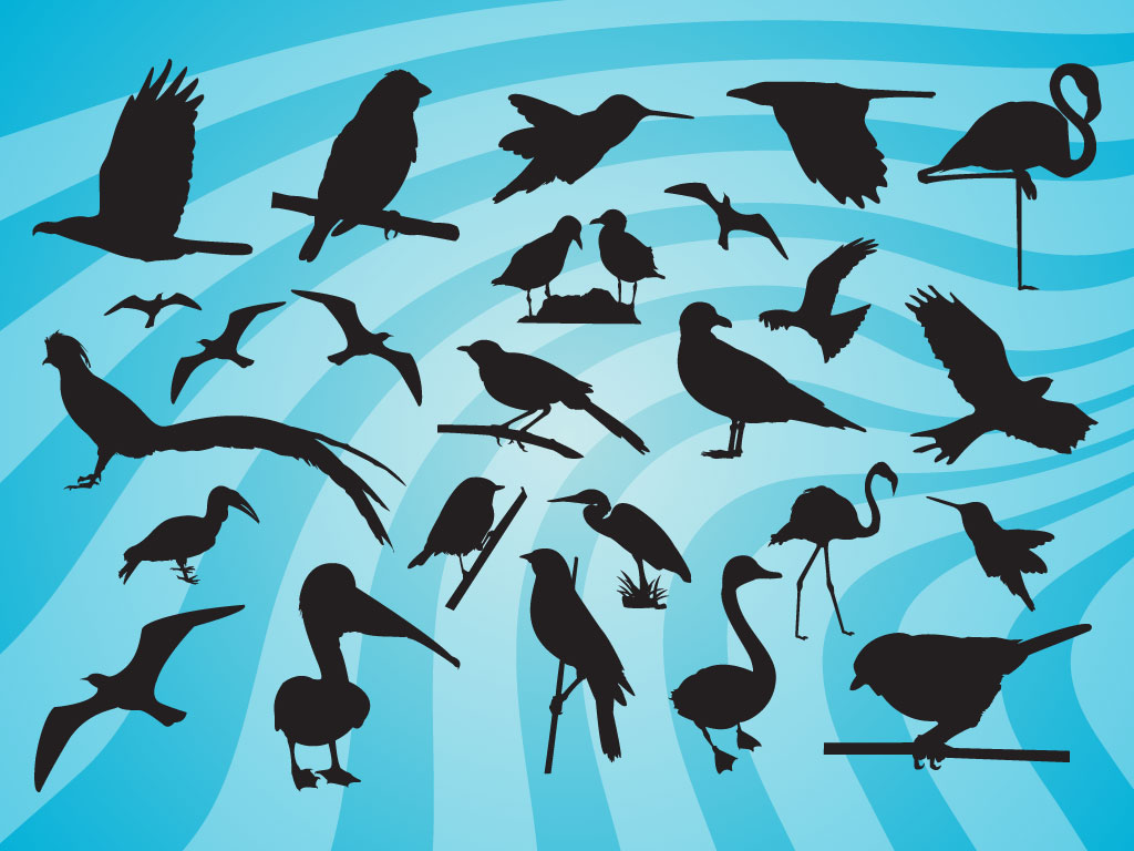 vector free download bird - photo #32