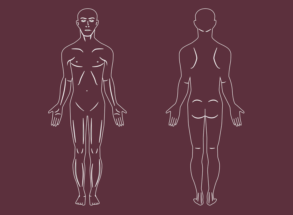 Human Body Vectors