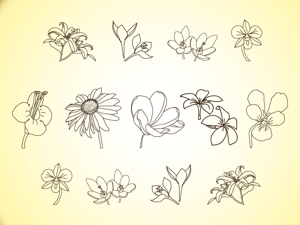 Vector Flower Line Ilrations